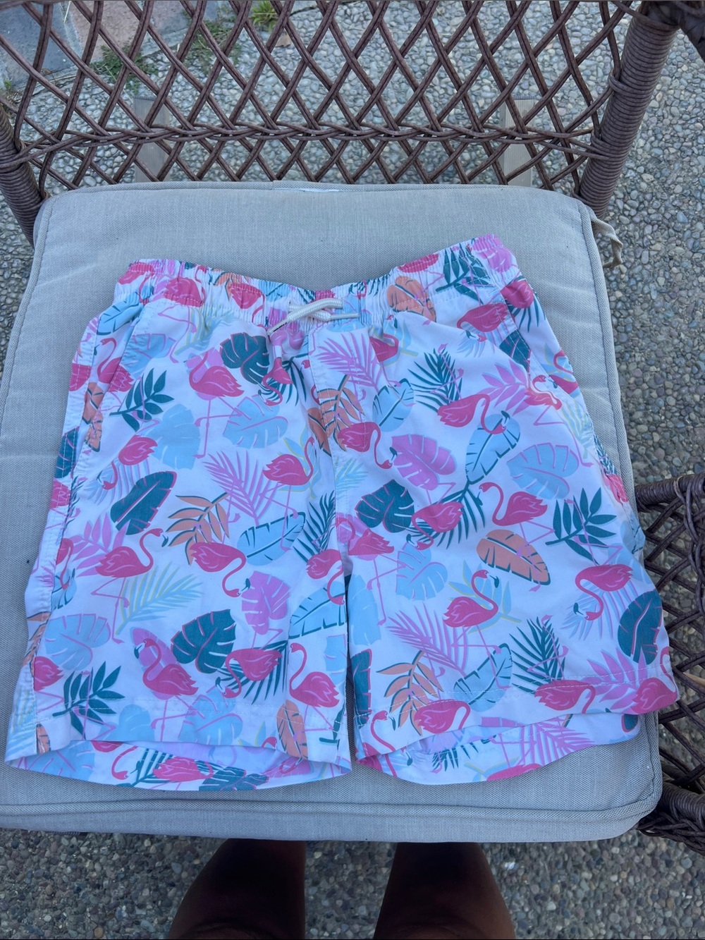 Young boys RSQ Tillys Pink Tropical Flamingo Shorts